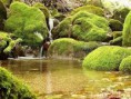 /album/imagens15/transferir-4-jpg2/